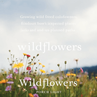 Wildflowers